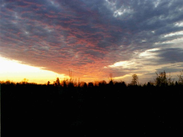 bigsky1.jpg (37007 bytes)