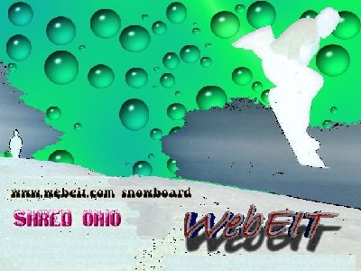 shredohio1.jpg (65381 bytes)