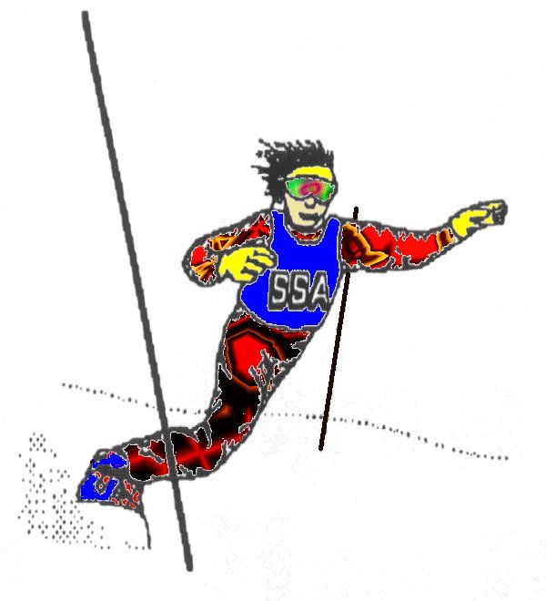 slalomcolor.jpg (44906 bytes)